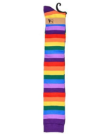 Welly Socks Rainbow