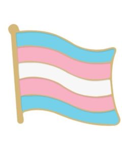 Wholesale transgender pride flag enamel pin badge LGBTQ badges also available pansexual, bisexual, lesbian, non binary and progressive
