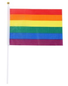 Wholesale gay pride hand held flag small LGBTQ flag.  Great for gay pride festivals or parties, also available is the hand held progressive flag and the new 8 colour