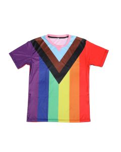 Wholesale Progress Pride T Shirt.  Two sizes available.