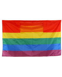 Wholesale wearable pride flag with sleeves